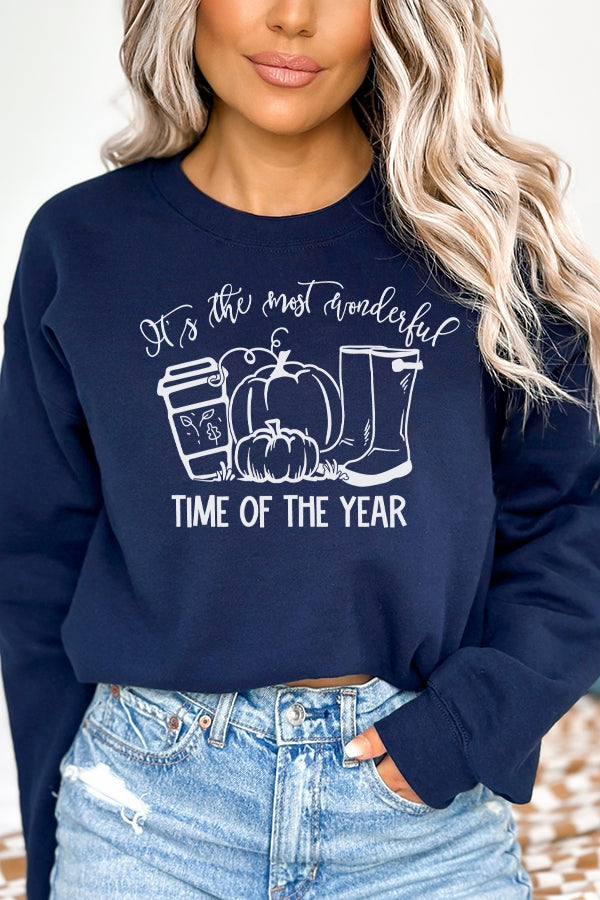 Fall "It's the most wonderful time of the year" Sweatshirt